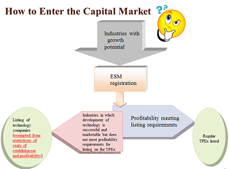 Explain: How to Enter the Capital Market